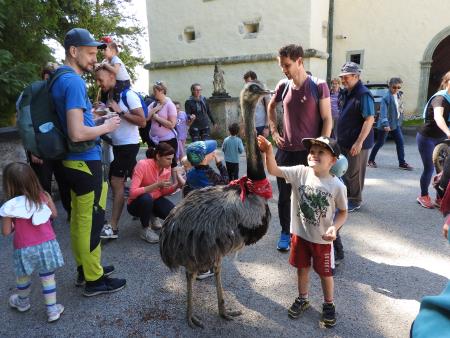 Otroci so bili navdušeni nad južnoameriškem nandujem Nandetom
